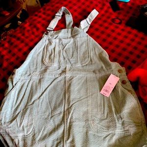 New with tags. Wild Fable corduroy skirtall XXL